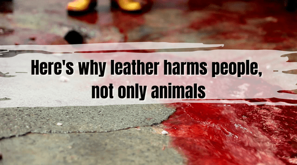 Here's why leather harms people, not only animals